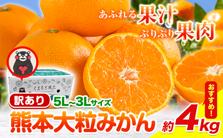 [新登場!]訳あり 熊本 大粒みかん 約4kg (3L〜5Lサイズ) みかん 先行予約 ご家庭用 たっぷり 熊本県産 熊本県 期間限定 フルーツ 旬 柑橘 大玉[2025年1月中旬-2月末頃より出荷予定]---gkt_otbmkn_bc1_24_7000_4kg---