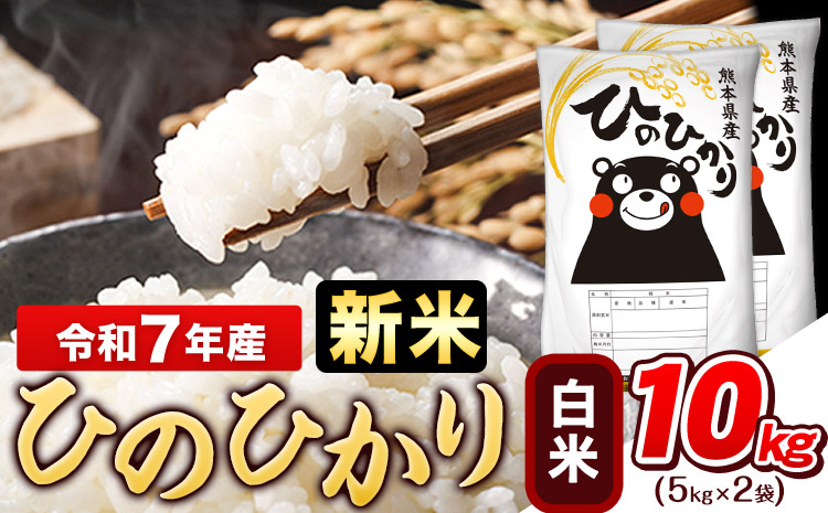 新米 令和7年産 白米 ひのひかり 10kg《7-14日以内に出荷予定(土日祝除く)》コメ 米 白米 令和7年産 高レビュー｜人気米 熊本県産米 お米 生活応援米---gkt_hn7_wx_23000_10kg_h---