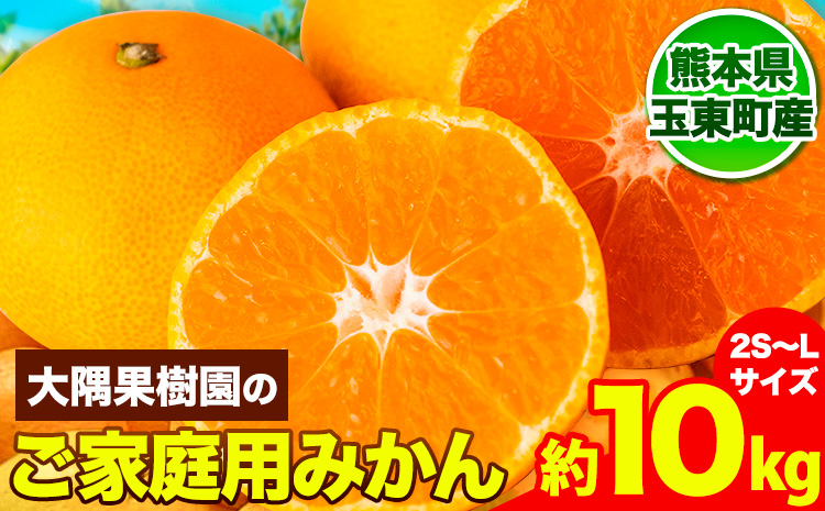 『大隅果樹園』のご家庭用みかん 約10kg(2S~Lサイズ) 大隅果樹園[10月下旬-12月下旬頃出荷] ご家庭用 訳あり---sg_wosumikan_p1012_24_10000_10kg---