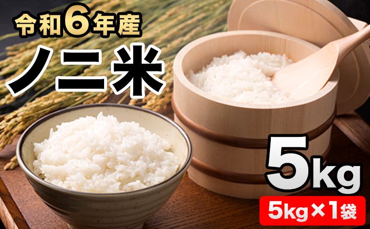 令和6年産 ひのひかり(ノニ米) 約5kg(5kg×1袋) コノCAFE[30日以内に出荷予定(土日祝除く)]---sg_noni4_30d_24_15000_5kg---