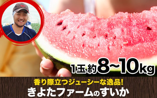 『きよたファーム』のすいか 1玉約8〜10kg 熊本県玉名郡玉東町『きよたファーム』すいか フルーツ [5月上旬-7月上旬頃出荷]---sg_kfsuika_ad57_25_12500_1p---