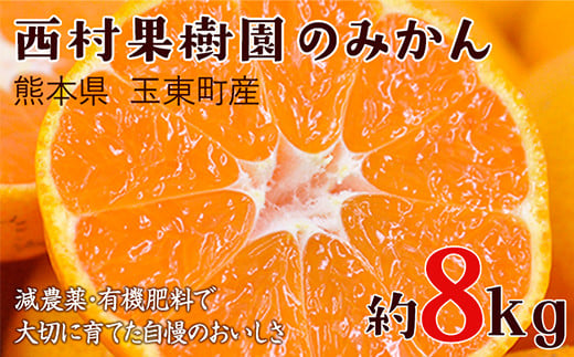 『西村果樹園』のみかん★約8kg(S-2Sサイズ)[10月上旬-1月下旬頃出荷] 予約受付中 フルーツ 秋 旬★ みかん ---sg_nkjmikan_ak101_24_14000_8kg---