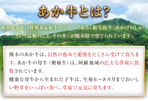 熊本の和牛 熊本県産あか牛ローストビーフ500g×2個 熊本あか牛 赤牛 あかうし 《30日以内に出荷予定(土日祝除く)》---ng_frstbf_30d_r7_32000_1kg---