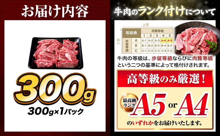 牛肉 A4～A5等級 黒毛和牛 切り落とし くまもと黒毛和牛 上 カルビ 焼肉切り落とし 300g 《60日以内に出荷予定(土日祝除く)》熊本県 長洲町 上カルビ 焼肉用 焼肉 肉 お肉 和牛 A5 A4 300g 小分け---ng_fzyoukbyk_60d_r7_7500_300g---