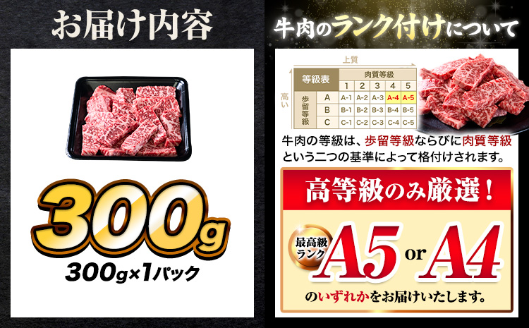 牛肉 A4～A5等級 黒毛和牛 切り落とし くまもと黒毛和牛 上 ロース 焼肉切り落とし 300g 《30日以内に出荷予定(土日祝除く)》熊本県 長洲町 上ロース 焼肉用 焼肉 肉 お肉 和牛 A5 A4 300g 小分け リブロース サーロイン---ng_fzyoursyk_30d_r7_10000_300g---
