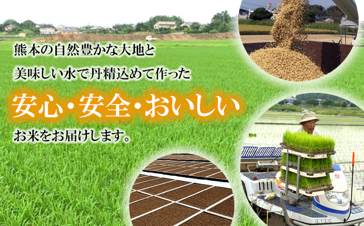 令和7年産 森のくまさん 20kg 株式会社羽根《60日以内に出荷予定(土日祝除く)》熊本県 長洲町 熊本県産 白米 精米 森くま もりくま 米---sn_hnmori7_60d_25_52500_20kg---