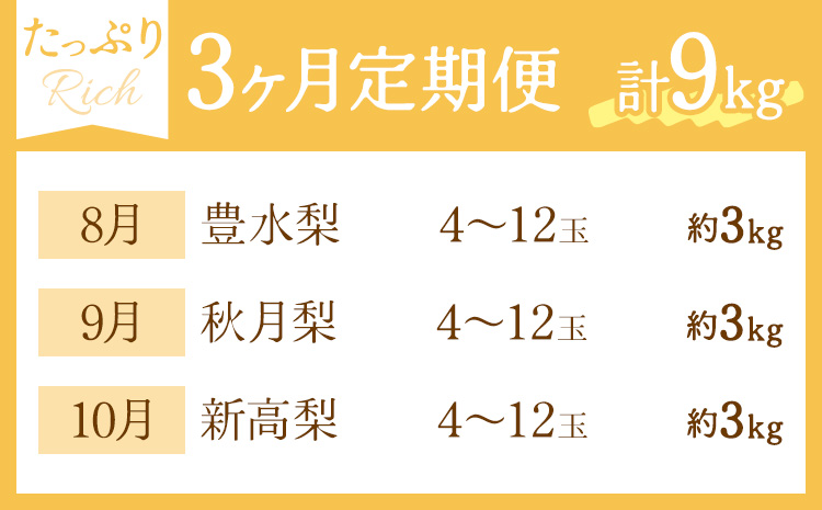 【3ヶ月定期便】梨 定期便 秀品 3ヶ月連続 梨の定期便 リッチ 計9kg 日本フルーツ株式会社《8月上旬-10月末頃出荷》熊本県 長洲町 なし ナシ 豊水梨 秋月梨 新高梨 果物 フルーツ---sn_cnfzntei_41000_rich_aug3---