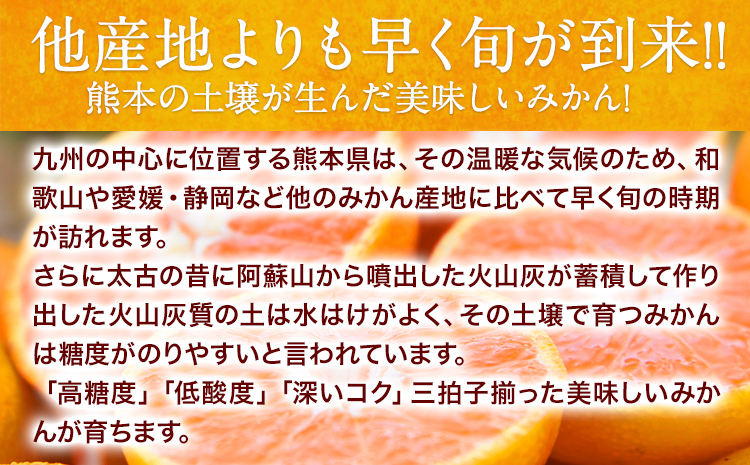 ご家庭用 熊本 大粒みかん 約2.5kg (3L～5Lサイズ)大玉 みかん 先行予約 熊本 ちょっと 訳あり 傷 たっぷり 熊本県産 熊本県 期間限定 フルーツ 旬 柑橘 長洲町 大粒みかん《2026年1月中旬-2月末頃出荷》---fn_notbmkn_bc1_r7_5000_2500g---