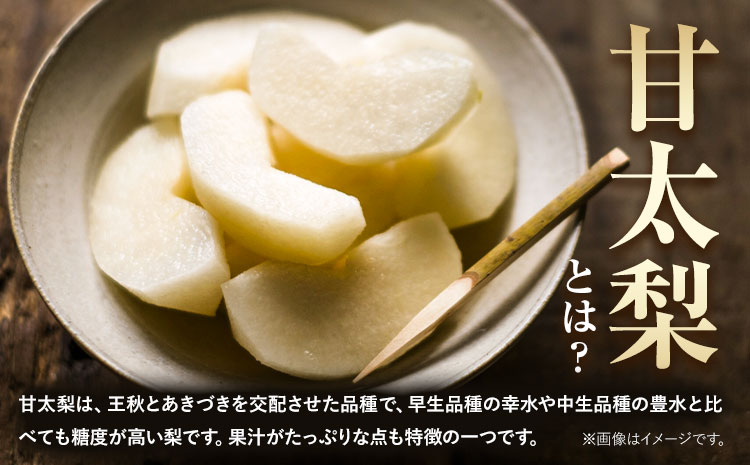 梨 甘太梨 和梨 なし フルーツ 果物 旬 秋 約3.5~ 4kg 長洲町産 竹下果樹園《9月上旬-9月下旬頃出荷》熊本県 長洲町 果物 なし かんた---sn_ctkknt_ab9_24_13000_4kg---st-p