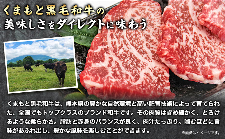 牛肉 くまもと黒毛和牛 カルビ ロース 焼肉 食べ比べセット 300g 150g × 2《30日以内に出荷予定（土日祝除く）》 熊本県 長洲町 くまもと黒毛和牛 黒毛和牛 冷凍 焼肉 カルビ ロース たれ付き 送料無料 富士商株式会社---sn_ffujikkkrt_30d_r7_17000_300g---