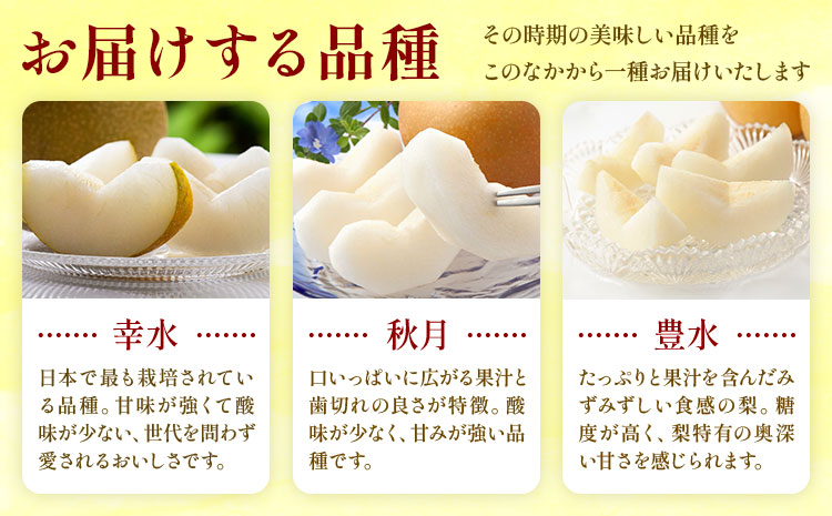 【2026年先行予約】おまかせ梨 秀品 約5kg 日本フルーツ《8月上旬-10月上旬頃出荷》熊本県 長洲町 なし 梨 果物 フルーツ デザート ギフト ご贈答---sn_cnfomn_ad810_r8_16500_5kg---