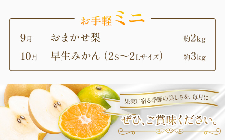 旬の フルーツ 定期便 2ヶ月連続 秀品 計5kg 日本フルーツ株式会社《2025年9月上旬-10月末頃出荷》熊本県 長洲町 おまかせ 梨 早生みかん 果物 フルーツ スイーツ デザート ギフト ご贈答---sn_nfustei_18000_mini_aug2---