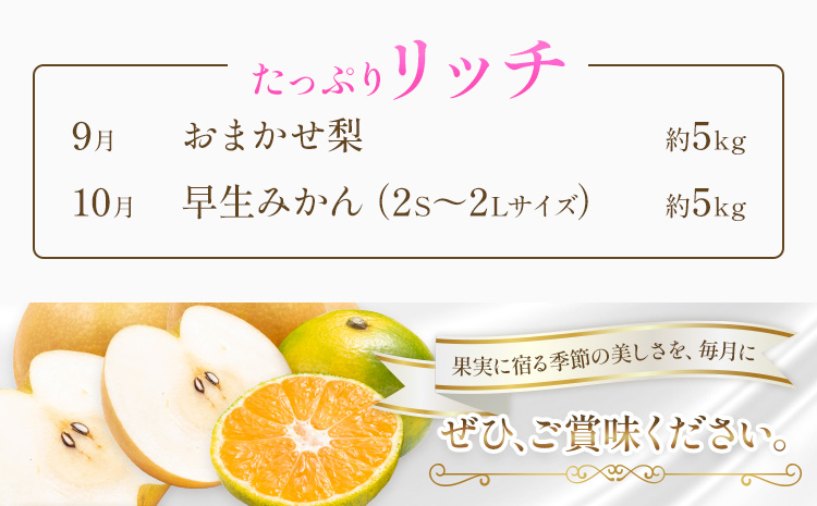 旬の フルーツ 定期便 2ヶ月連続 秀品 計10kg 日本フルーツ株式会社《2025年9月上旬-10月末頃出荷》熊本県 長洲町 おまかせ 梨 早生みかん 果物 フルーツ スイーツ デザート ギフト ご贈答---sn_nfustei_26500_rich_aug2---