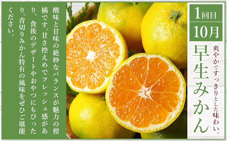 秀品 みかん 3ヶ月定期便 【スペシャル：計25kg】 日本フルーツ株式会社《2025年10月上旬-12月末頃出荷》熊本県 長洲町 早生みかん 温州みかん 不知火 果物 フルーツ スイーツ デザート ギフト ご贈答---sn_nfuktei_40500_special_aug3---