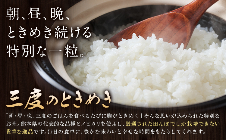 令和7年産 米 三度のときめき 15kg くまもと食彩の力《60日以内に出荷予定(土日祝除く)》熊本県 長洲町 お米 ひのひかり ヒノヒカリ こめ コメ---sn_kmst_60d_r7_40000_15kg---