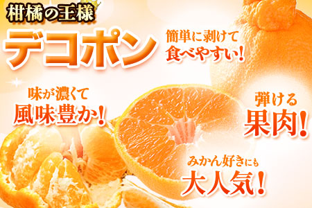 ご家庭用 デコポン デコポン約5kg前後(約12-24玉前後)《2026年2月上旬-4月末頃出荷》不知火 ---ng_deko_af24_r7_15000_5kg---