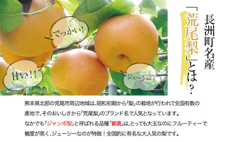 熊本県産梨ストレートジュース＆梨ジャムセット　あなた本舗《30日以内に出荷予定(土日祝除く)》---sn_anatanasi_30d_r7_18000_720ml---
