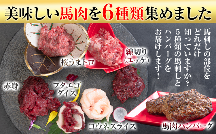 馬刺し 復興福袋6種セット 馬肉 トロ ハンバーグ ユッケ 赤身 株式会社千興ファーム《60日以内に出荷予定(土日祝除く)》---sn_ffkoub_60d_r7_13000_6set---