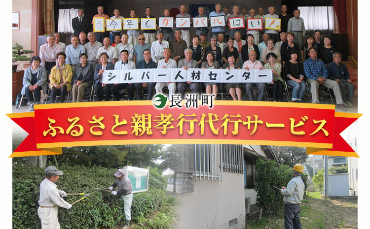 ふるさと親孝行代行サービスD---sn_silvercenter_r7_30000_d---