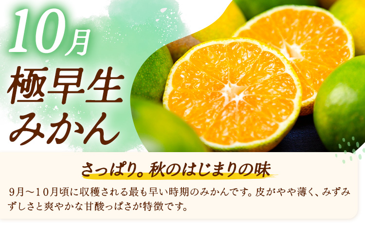 【3ヶ月定期便】みかん 定期便 秀品 温州みかん ペシャル 計30kg 日本フルーツ株式会社《10月上旬-12月末頃出荷》熊本県 長洲町 ミカン 蜜柑 柑橘類 極早生 早生 中生 果物 フルーツ---sn_nfumtei_41000_special_oct3---