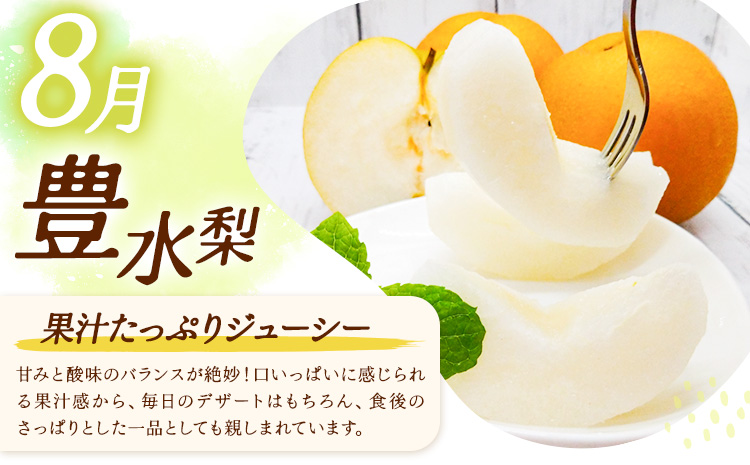 【3ヶ月定期便】梨 定期便 秀品 3ヶ月連続 梨の定期便 ミニ 計5.4kg 日本フルーツ株式会社《8月上旬-10月末頃出荷》熊本県 長洲町 なし ナシ 豊水梨 秋月梨 新高梨 果物 フルーツ---sn_cnfzntei_29500_mini_aug3---