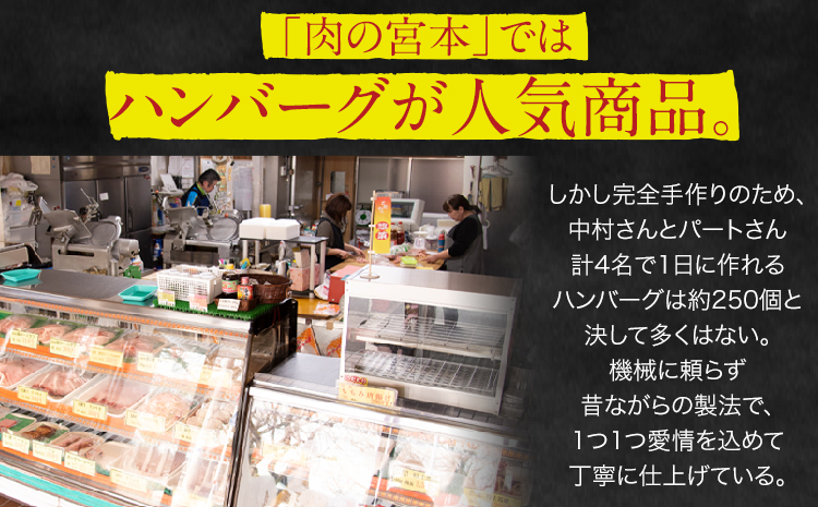 【6ヶ月定期便】ハンバーグ 馬肉入り 手作りハンバーグ 30個 (1個：約150g) 定期便 馬肉ハンバーグ 肉 馬肉 手作り 肉の宮本《申し込みの翌月から出荷(土日祝除く)》惣菜 おかず 肉 牛 豚---sn_fmybhtei_r7_160000_30i_mo6---