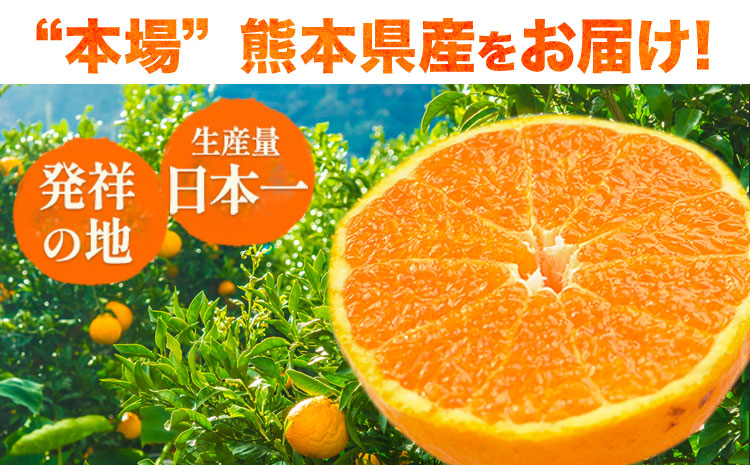 ご家庭用 デコみかん 約2.5kg 6～12玉前後《2026年2月上旬-4月末頃出荷》デコポン（不知火）と同品種 熊本県産 熊本県 長洲町 訳あり---ng_dkmkn_af24_r7_7000_2500g---