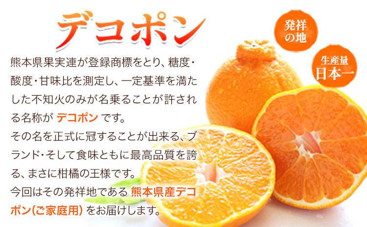 ご家庭用 デコポン デコポン約2.5kg前後(約6-12玉前後)《2026年2月上旬-4月末頃出荷》不知火 熊本県産 熊本県 長洲町 糖度13度以上---ng_deko_af24_r7_8000_2500g----