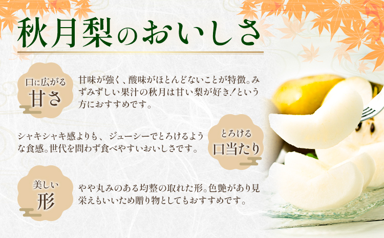 【2026年先行予約】 梨 秀品 秋月梨 約5kg（6～16玉） 日本フルーツ《9月上旬-9月末頃出荷》熊本県 長洲町 なし 梨 果物 フルーツ デザート ギフト ご贈答---sn_cnfakn_ac9_r8_16500_5kg---