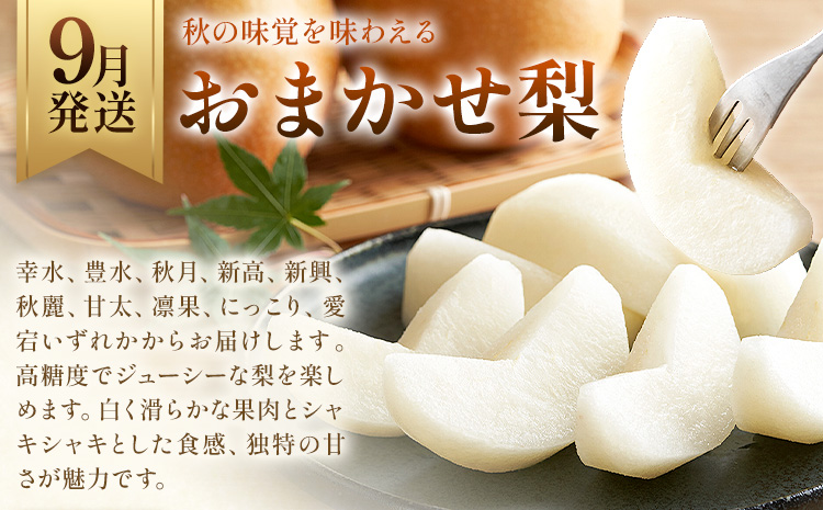 旬の フルーツ 定期便 2ヶ月連続 秀品 計5kg 日本フルーツ株式会社《2025年9月上旬-10月末頃出荷》熊本県 長洲町 おまかせ 梨 早生みかん 果物 フルーツ スイーツ デザート ギフト ご贈答---sn_nfustei_18000_mini_aug2---