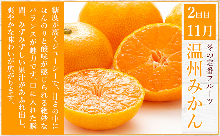 秀品 みかん 3ヶ月定期便 【スペシャル：計25kg】 日本フルーツ株式会社《2025年10月上旬-12月末頃出荷》熊本県 長洲町 早生みかん 温州みかん 不知火 果物 フルーツ スイーツ デザート ギフト ご贈答---sn_nfuktei_40500_special_aug3---