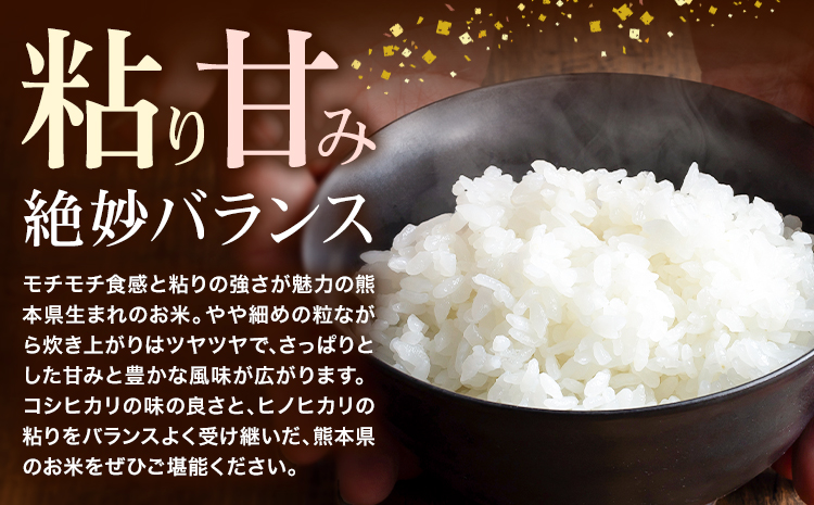 令和7年産 米 森のくまさん 15kg くまもと食彩の力《60日以内に出荷予定(土日祝除く)》熊本県 長洲町 お米 こめ コメ---sn_kmmk_60d_r7_40000_15kg---