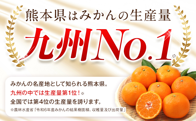 【年内発送】みかん 訳あり くまもとみかん 約1.5kg S-2Lサイズ サイズ混合 ご家庭用《1-5日以内に出荷予定(土日祝除く)》 訳あり みかん フルーツ サイズ混合 秋 旬 柑橘 熊本県 長洲町 熊本県産 長洲町産含む---ng_wkmkn_s_4500_15k---