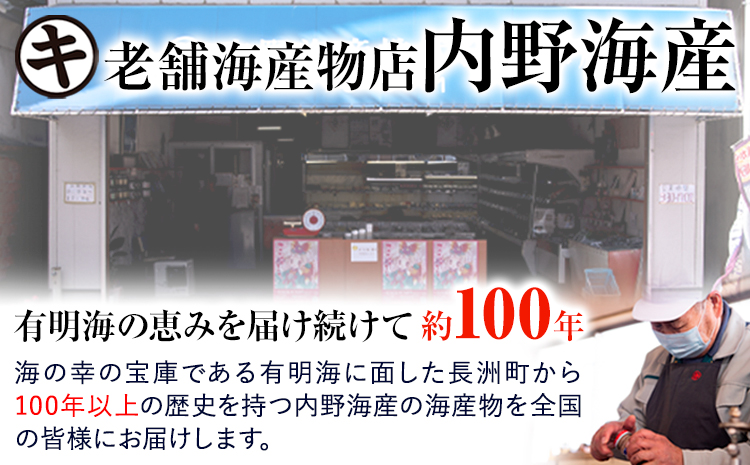 内野海産の海の幸セット 10個入り 《45日以内に出荷予定(土日祝除く)》あみ漬 いか 海苔 佃煮 塩辛 いかすみ---sn_cuchisaci10_45d_r7_11000_400g---
