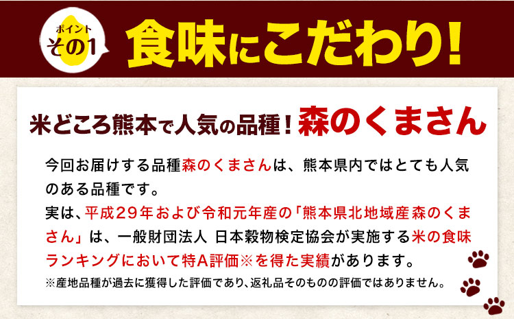 令和5年産 森のくまさん 【3ヶ月定期便】 白米 《お申し込み月の翌月から出荷開始》 10kg (5kg×2袋) 計3回    ---mk5tei_36000_10kg_mo3num1_ng_h---