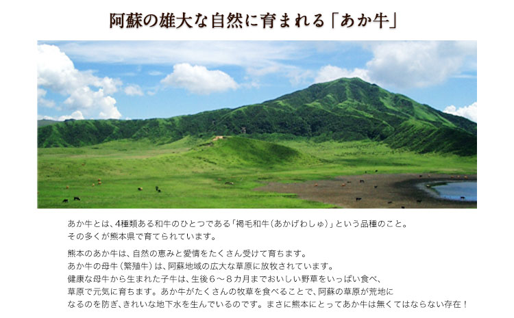 あか牛メンチカツ 1.8kg (100g×18個入り) 牛肉 肉 メンチカツ 惣菜 《30日以内に出荷予定(土日祝除く)》---ng_fomenchi_30d_r7_12000_1800g---st-p