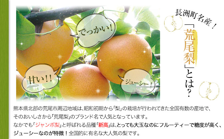 熊本県産梨 梨ジャム3個セット あなた本舗《30日以内に出荷予定(土日祝除く)》---sn_anatajam_30d_r7_12500_540g---