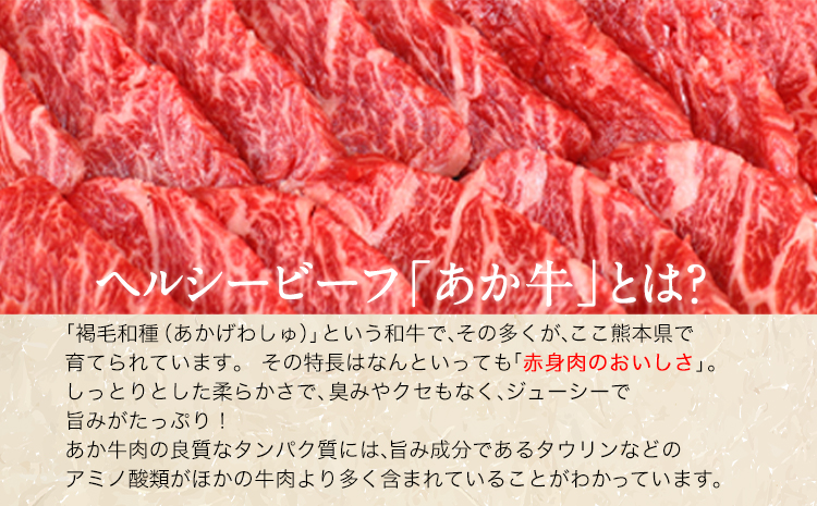 3ヶ月定期便 肥後のあか牛 焼き肉用 約500g×3ヶ月 牛肉 長洲町L（桜屋） 熊本 特産 あか牛《お申込み月の翌月から出荷開始》---sn_f501hyktei_r7_42000_mo3num1---st-p