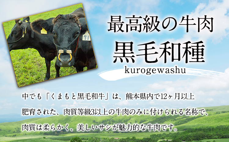 【2ヶ月定期便】牛肉 くまもと黒毛和牛 すき焼き用 500g 肉 黒毛和牛 長洲町L（桜屋）《お申込み月の翌月から出荷開始》 定期 ---sn_f501kwsktei_r7_33000_mo2num1---st-p