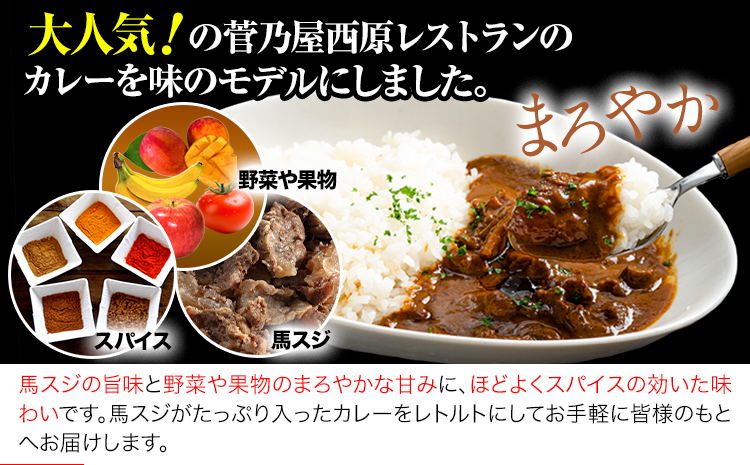 馬スジカレー 10食セット 馬肉 肉 馬スジ カレー《60日以内に出荷予定(土日祝除く)》株式会社千興ファーム 馬スジ カレー ---sn_fbsjikr_60d_25_16500_10set---