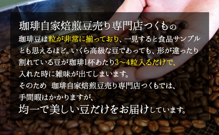 珈琲自家焙煎豆売り専門店つくもの自家焙煎珈琲豆「ツクモブレンド」100g×6《45日以内に出荷予定(土日祝除く)》---sn_tukucoffe_45d_r7_23000_600g---