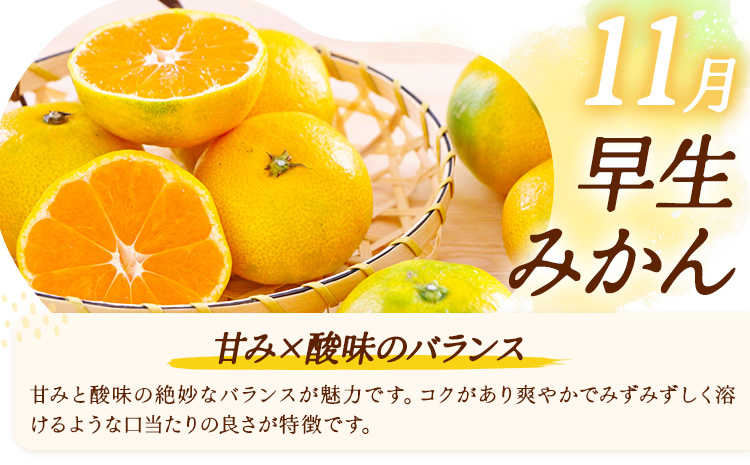 【3ヶ月定期便】みかん 定期便 秀品 温州みかん ミニ 計9kg 日本フルーツ株式会社《10月上旬-12月末頃出荷》熊本県 長洲町 ミカン 蜜柑 柑橘類 極早生 早生 中生 果物 フルーツ---sn_nfumtei_23000_mini_oct3---