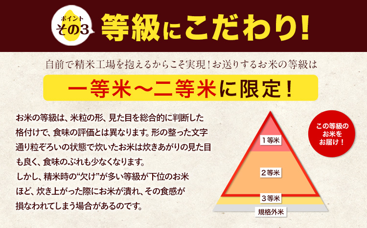 新米 米 無洗米 令和7年産 特A受賞品種 ひのひかり 森のくまさん 米 送料無料 20kg 食べ比べ ヒノヒカリ 厳選 熊本県産(長洲町産含む) 米 お米 森くま 《7-14日以内に出荷予定(土日祝除く)》長洲町---ng_hm7_wx_48500_20kg---