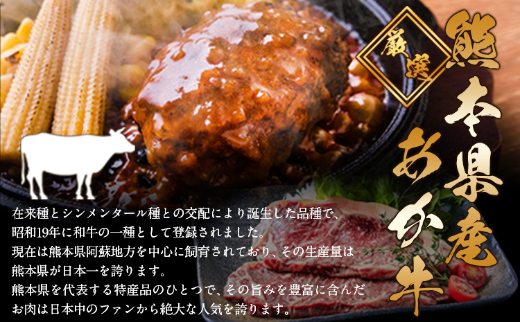 ステーキマニア監修 熊本県産 あか牛 100% 生ハンバーグ 140g× 26個 2セット 《30日以内に出荷予定(土日祝除く)》熊本県産あか牛 冷凍 ハンバーグ---ng_faknhamb_30d_24_24000_3640g---st-p