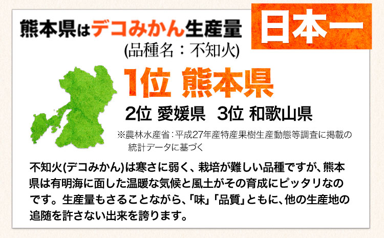 ご家庭用 デコみかん 約2.5kg 6～12玉前後《2026年2月上旬-4月末頃出荷》デコポン（不知火）と同品種 熊本県産 熊本県 長洲町 訳あり---ng_dkmkn_af24_r7_7000_2500g---