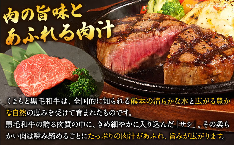 くまもと黒毛和牛 ヒレステーキ 300g 牛肉 冷凍 《90日以内に出荷予定（土日祝除く）》 くまもと黒毛和牛 黒毛和牛 冷凍庫 個別 取分け 小分け 個包装 ステーキ肉 にも ヒレステーキ---ng_fhire_90d_r7_18000_300g---st-p