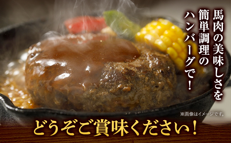 馬肉 ハンバーグ 150g × 10個 長洲町L（桜屋）《60日以内に出荷予定(土日祝除く)》 熊本県 長洲町 肉 馬肉 ハンバーグ 惣菜 小分け 送料無料---sn_fskbhnbg_60d_r7_13000_1500g---