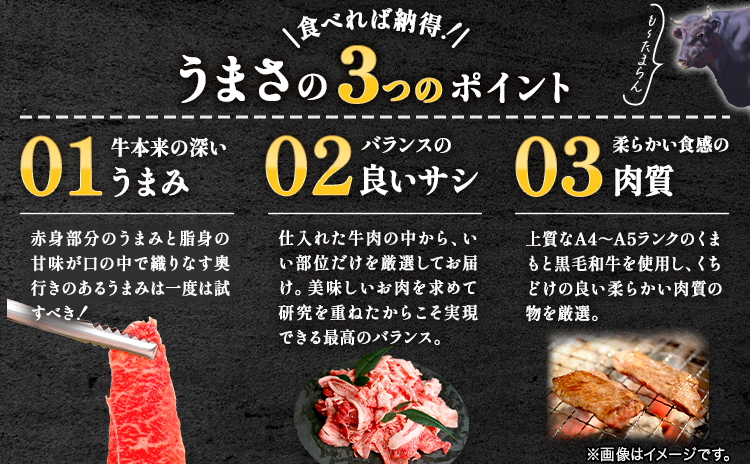 【ふるさと納税】 【A4～A5】くまもと黒毛和牛 切り落とし 500g 《30日以内に出荷予定(土日祝除く)》 牛肉 くまもと黒毛和牛 黒毛和牛 冷凍庫 切り落とし---sn_fespkiri_30d_r7_10500_500g---