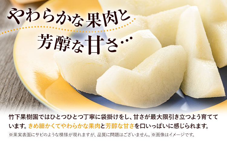 梨 甘太梨 和梨 なし フルーツ 果物 旬 秋 約3.5~ 4kg 長洲町産 竹下果樹園《9月上旬-9月下旬頃出荷》熊本県 長洲町 果物 なし かんた---sn_ctkknt_ab9_24_13000_4kg---st-p