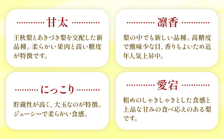 【2026年先行予約】おまかせ梨 秀品 約10kg 日本フルーツ《8月上旬-10月上旬頃出荷》熊本県 長洲町 なし 梨 果物 フルーツ デザート ギフト ご贈答---sn_cnfomn_ad810_r8_27500_10kg---
